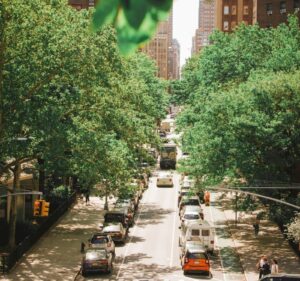 12 Best Places to Escape the Chaos in NYC