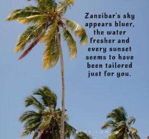 Zanzibar Captions